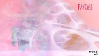 F//Cell