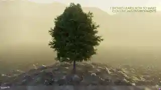 I SHOULD LEARN HOW TO MAKE CONVINCING ENVIRONMENTS