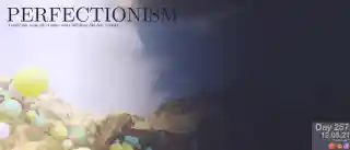 PERFECTIONISM