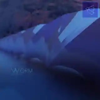 WORM