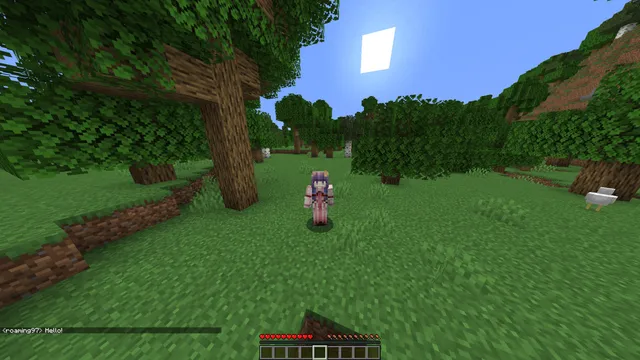Me saying hello from Minecraft